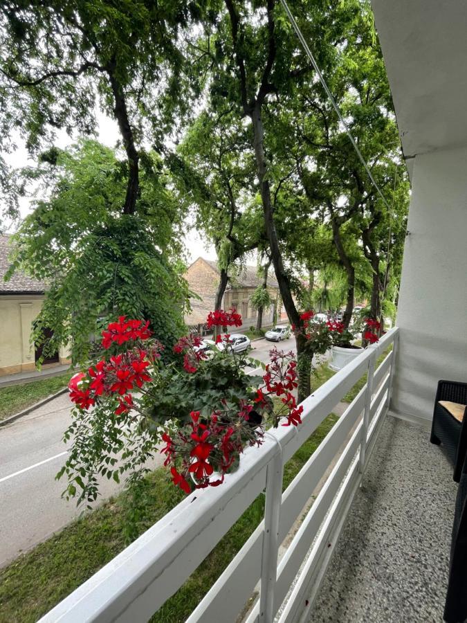 Apartman Venera Sombor Esterno foto